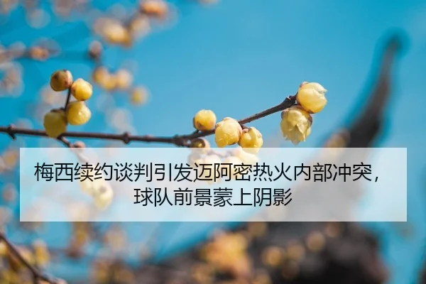 mei-xi-xu-yue-tan-pan-yin-fa-mai-a-mi-re-huo-nei-bu-chong-tu-qiu-dui-qian-jing-meng-shang-yin-ying-2-814.jpg