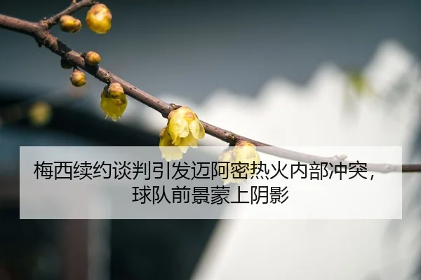 mei-xi-xu-yue-tan-pan-yin-fa-mai-a-mi-re-huo-nei-bu-chong-tu-qiu-dui-qian-jing-meng-shang-yin-ying-3-319.jpg
