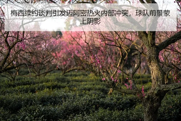 梅西续约谈判引发迈阿密热火内部冲突，球队前景蒙上阴影